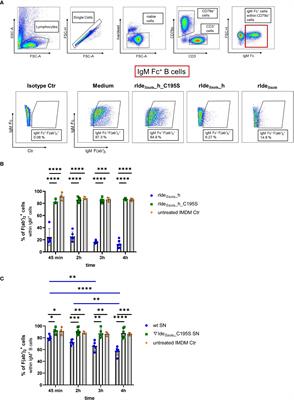 Frontiers | Immunoglobulin M-degrading Enzyme Of Streptococcus Suis ...